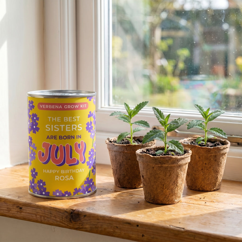 July Birth Flower Grow Your Own Verbena Flower Gift