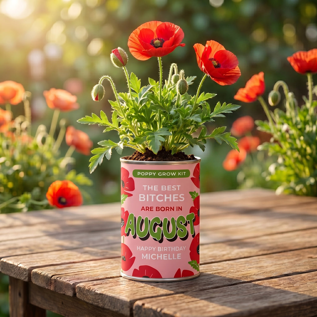 August Birth Flower Grow Your Own Poppy Flower Gift