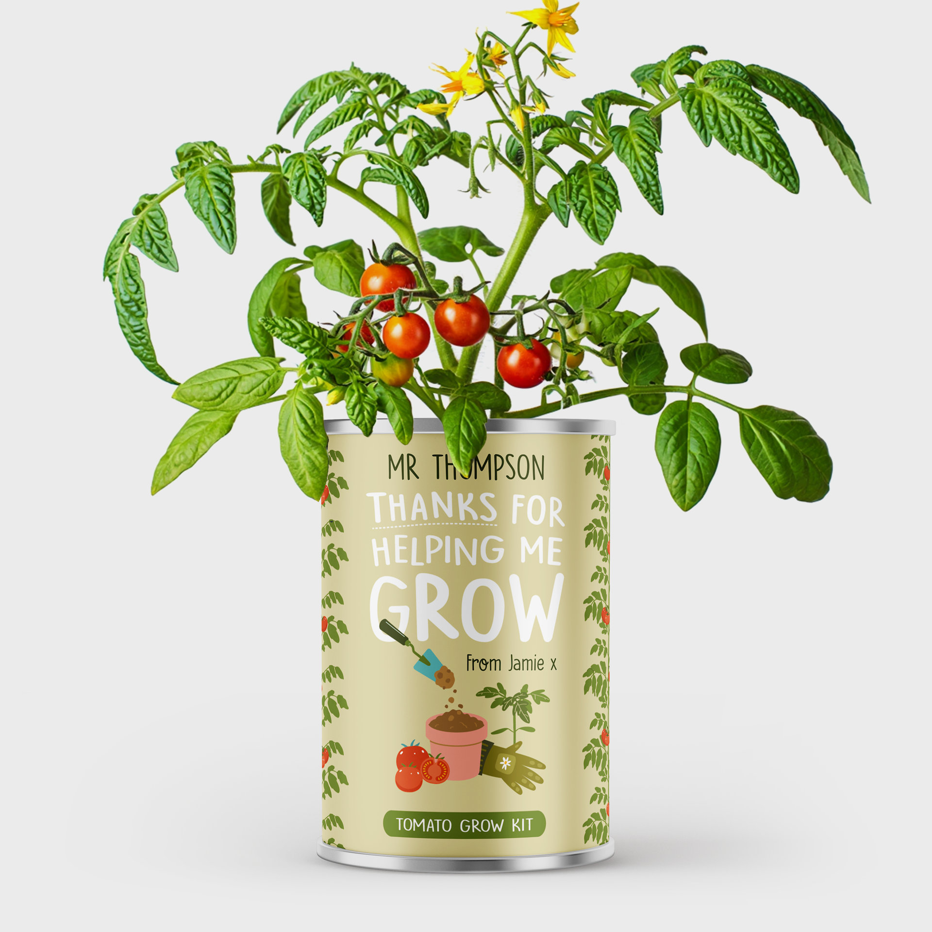 Personalised Teacher Gift - Grow Your Own Tomatoes