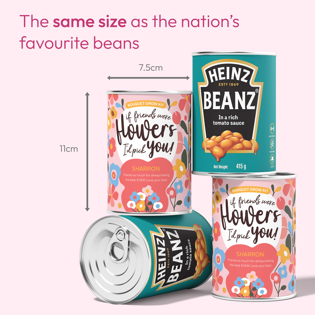 I'd Pick You Flower Tin - Personalised Flower Tin | Grow Your Own Flowers | Best Friend Gift