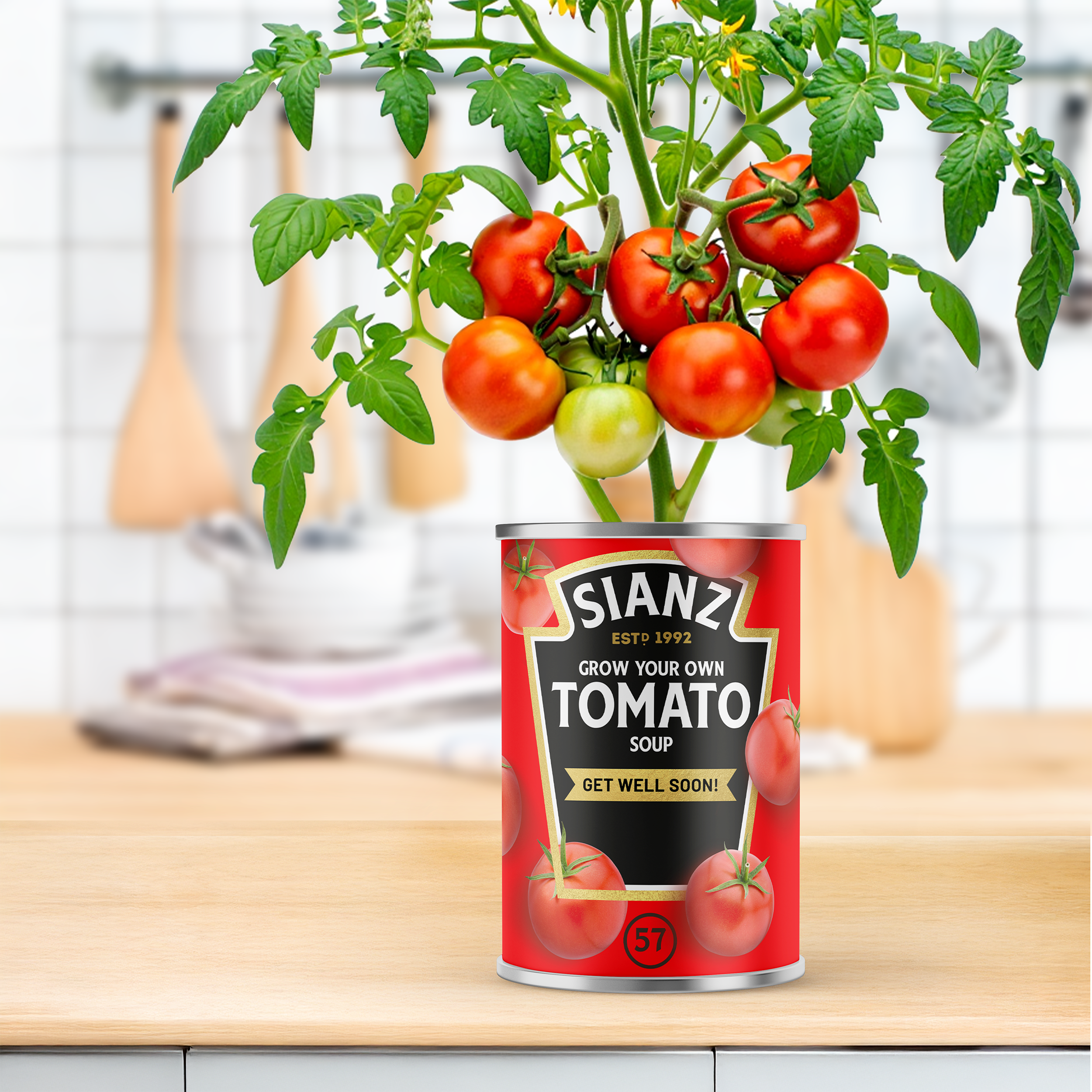 Grow Your Own Tomato Soup Tin - Get Well Soon Gift | Personalise Me