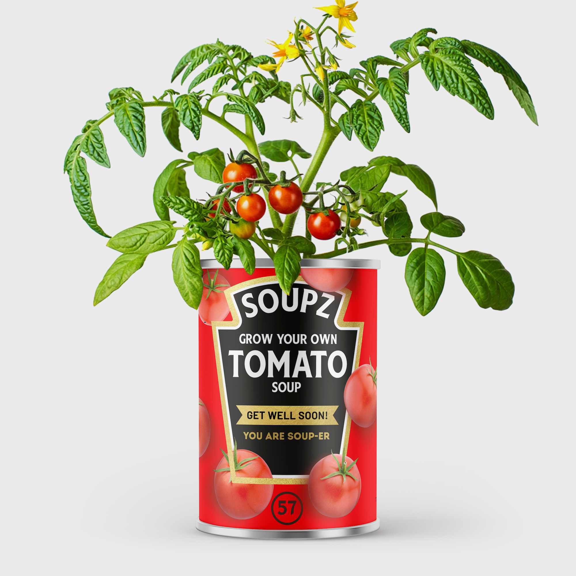 Grow Your Own Tomato Soup Tin - Get Well Soon Gift