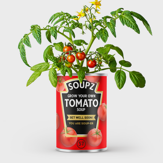 Grow Your Own Tomato Soup Tin - Get Well Soon Gift