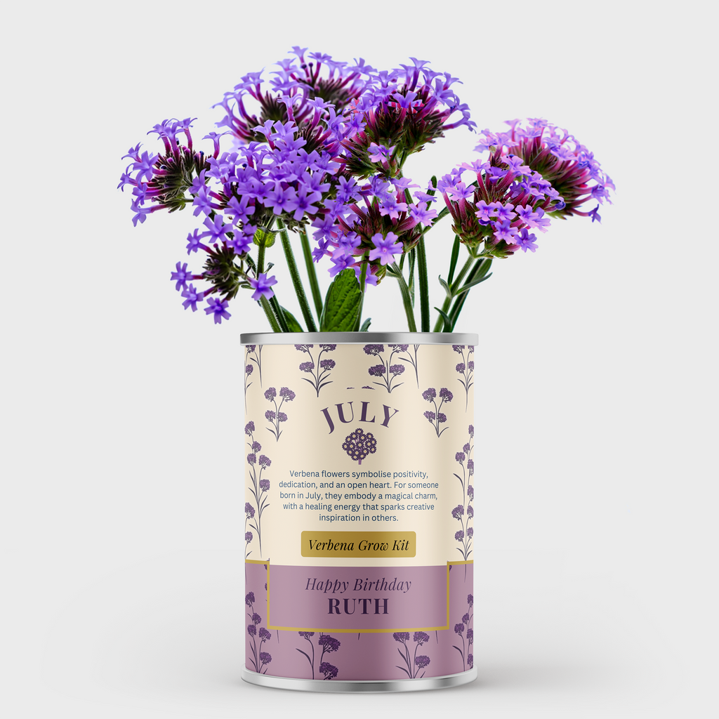 July Birth Flower Verbena Tin - Personalised Grow Your Own Flower Gift
