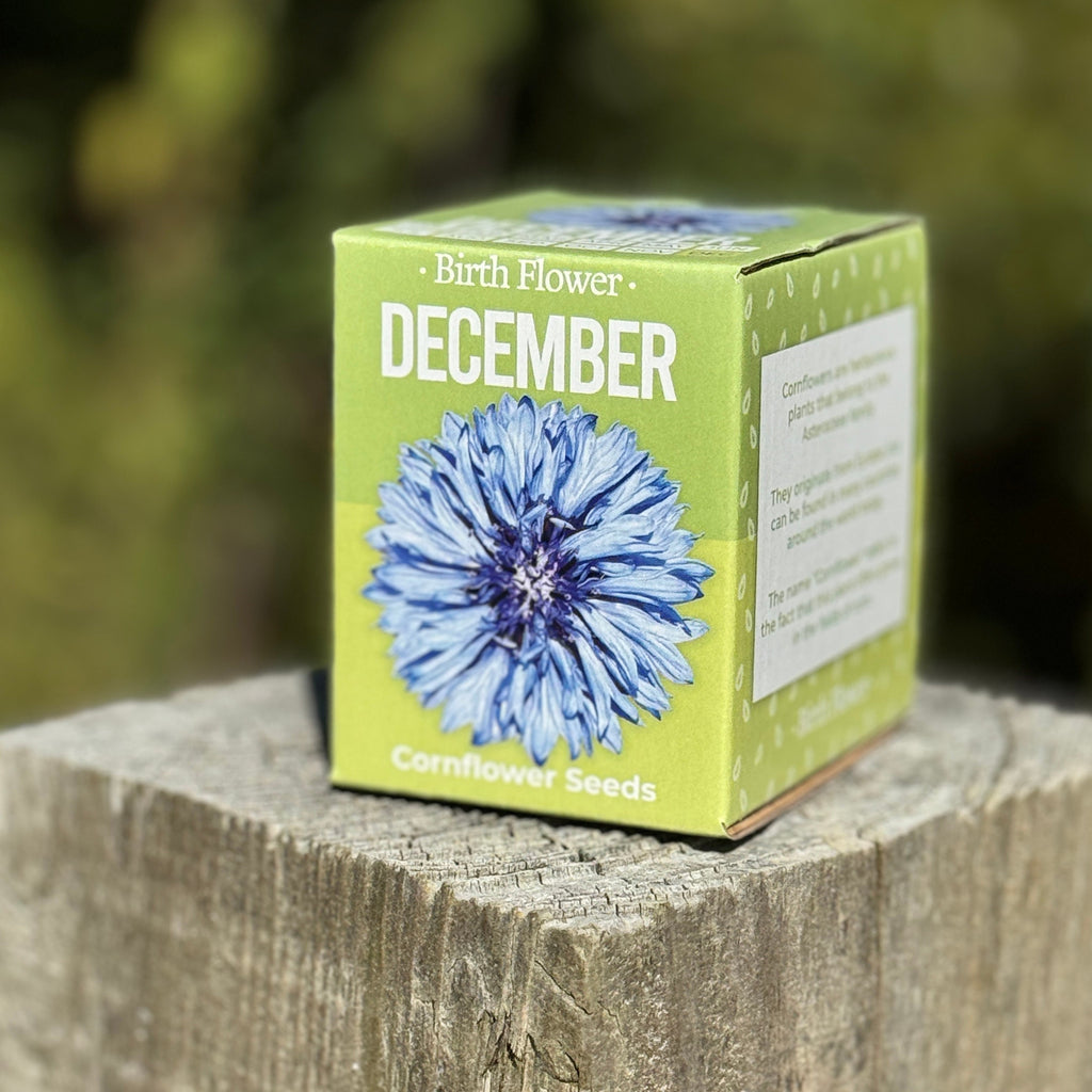 Grow Your Own Birth Flower Gift - Zodiac Gift | Gift for Mum | Gift for Grandma | Personalise Me