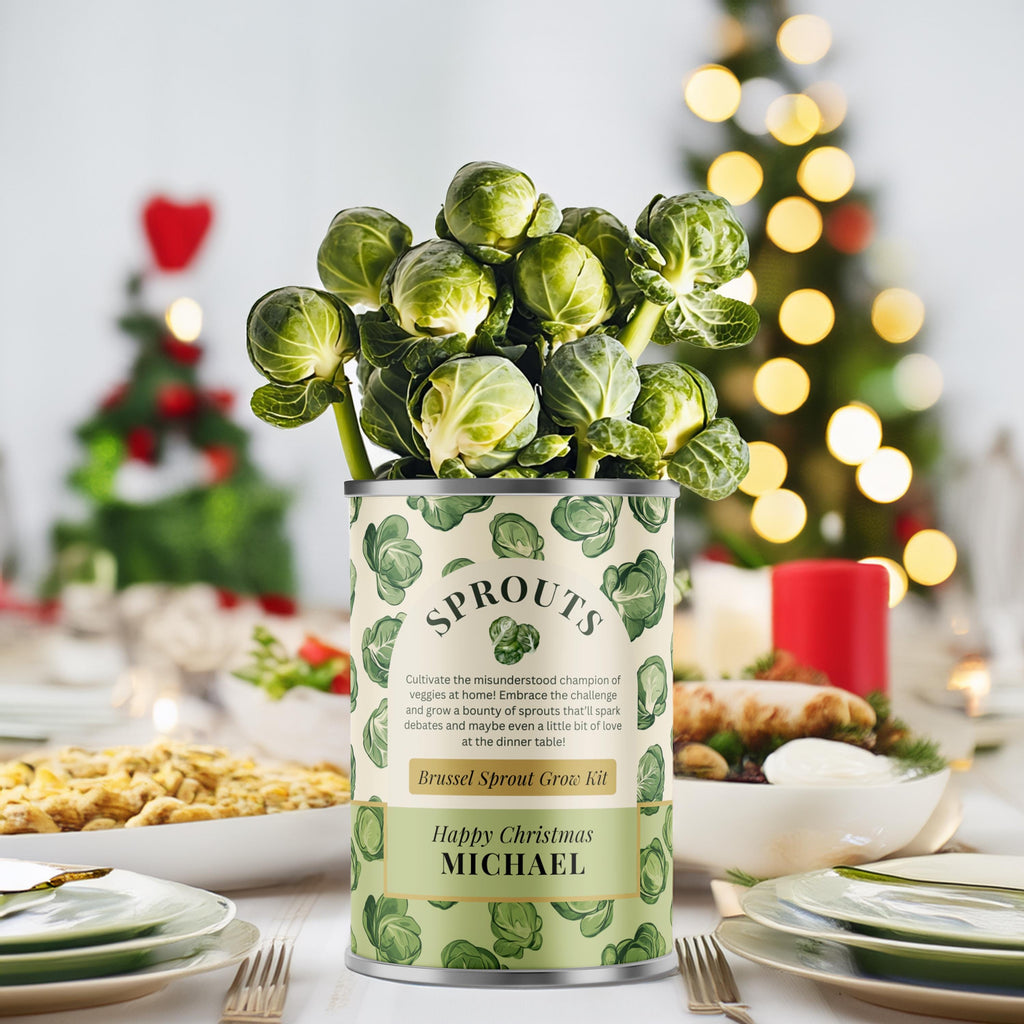 Personalised Grow Your Own Brussel Sprouts Tin - Secret Santa Gift | Christmas Gift