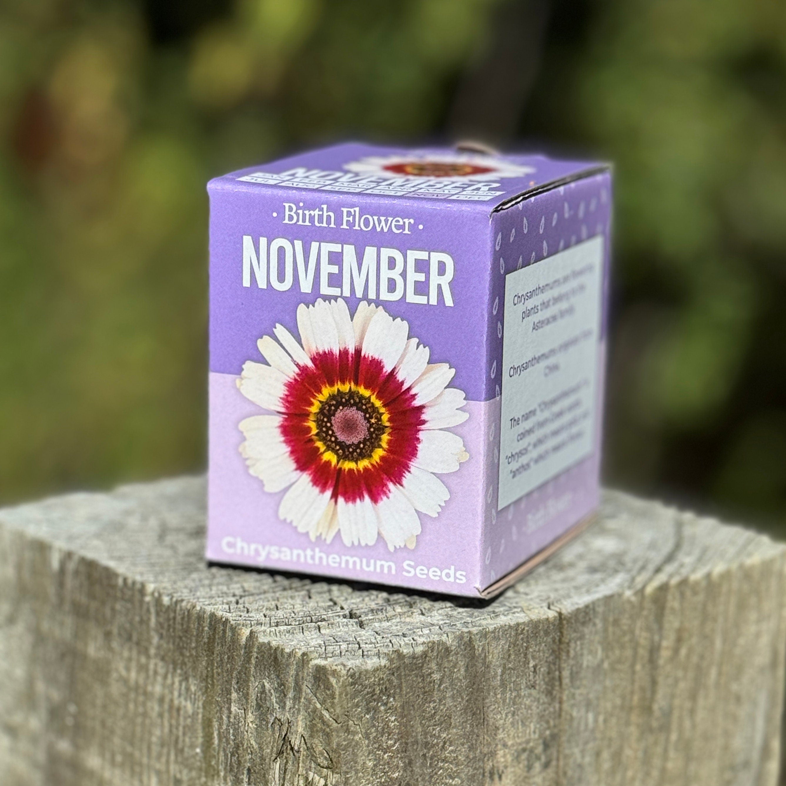 Grow Your Own Birth Flower Gift - Zodiac Gift | Gift for Mum | Gift for Grandma | Personalise Me