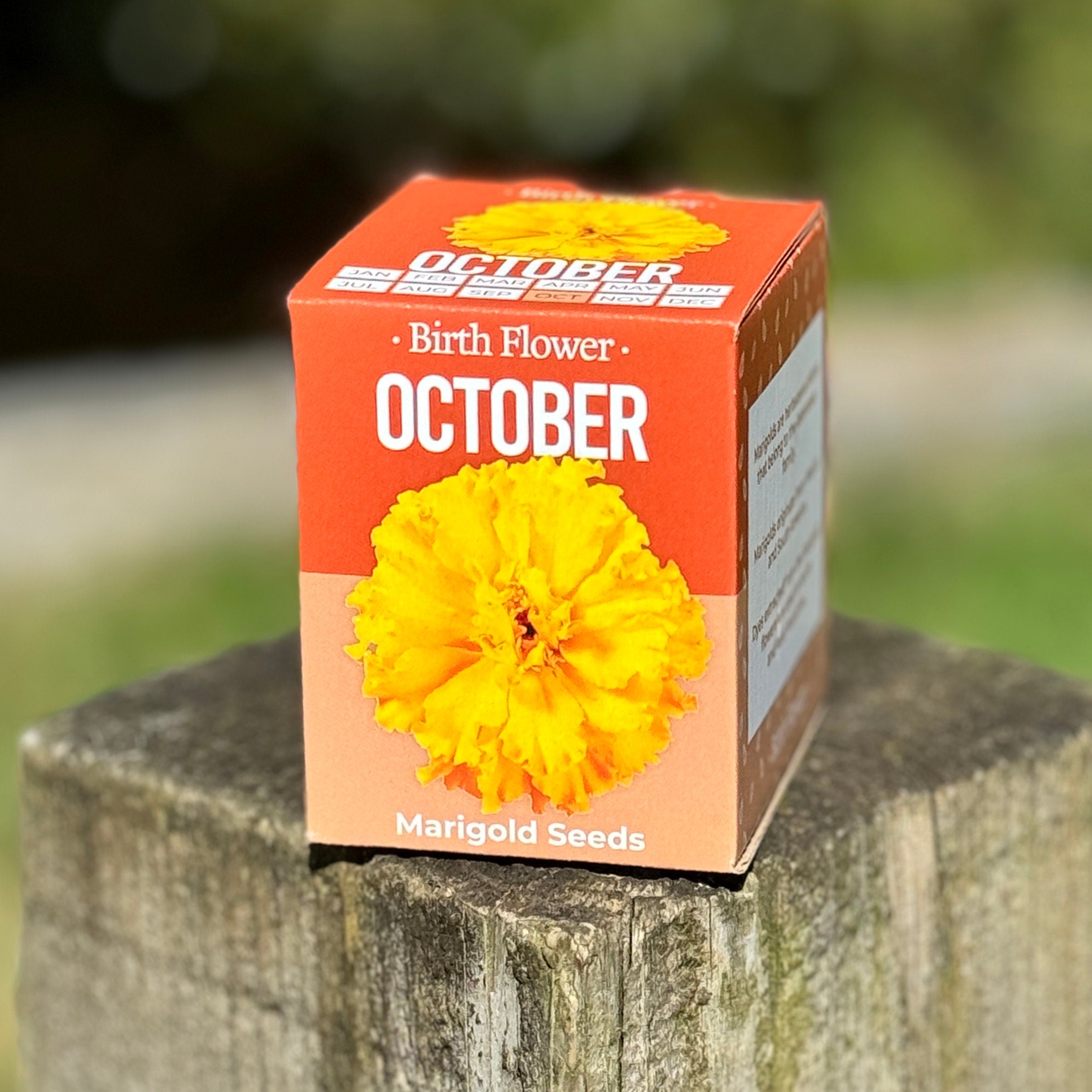 Grow Your Own Birth Flower Gift - Zodiac Gift | Gift for Mum | Gift for Grandma | Personalise Me