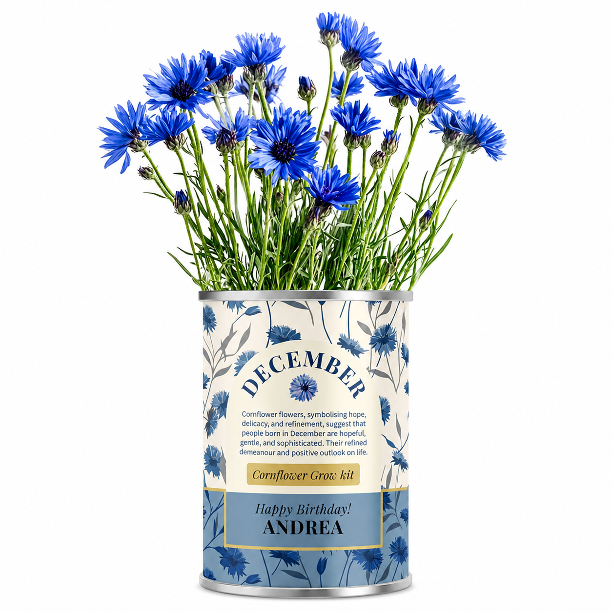 December Birth Flower - Personalised Grow Your Own Flower Gift Main image