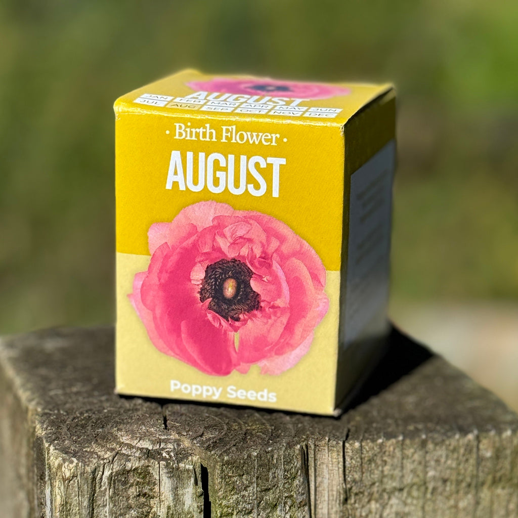 Grow Your Own Birth Flower Gift - Zodiac Gift | Gift for Mum | Gift for Grandma | Personalise Me