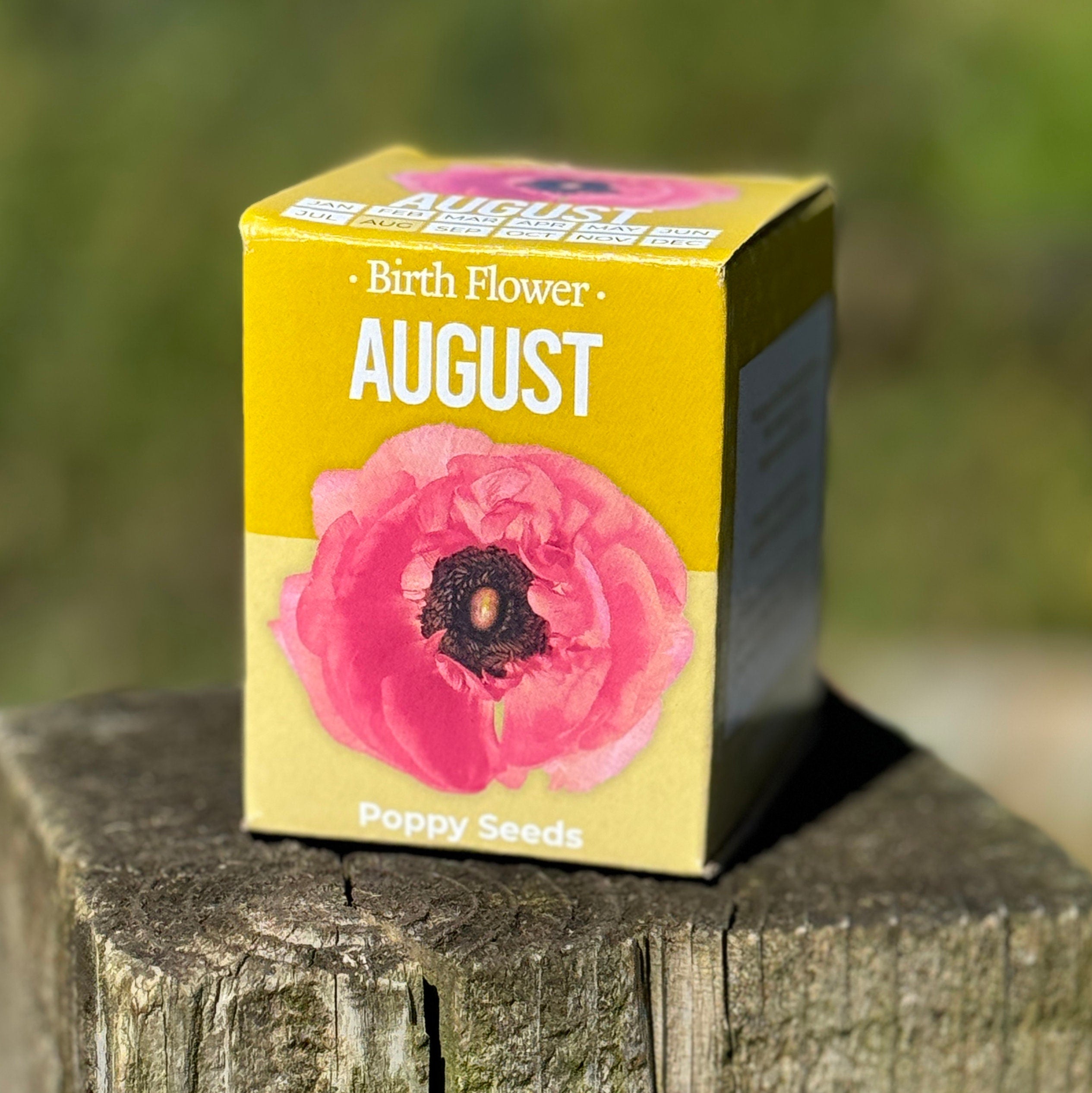 Grow Your Own Birth Flower Gift - Zodiac Gift | Gift for Mum | Gift for Grandma | Personalise Me