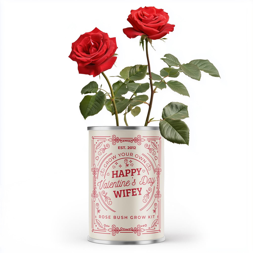 valentines gift