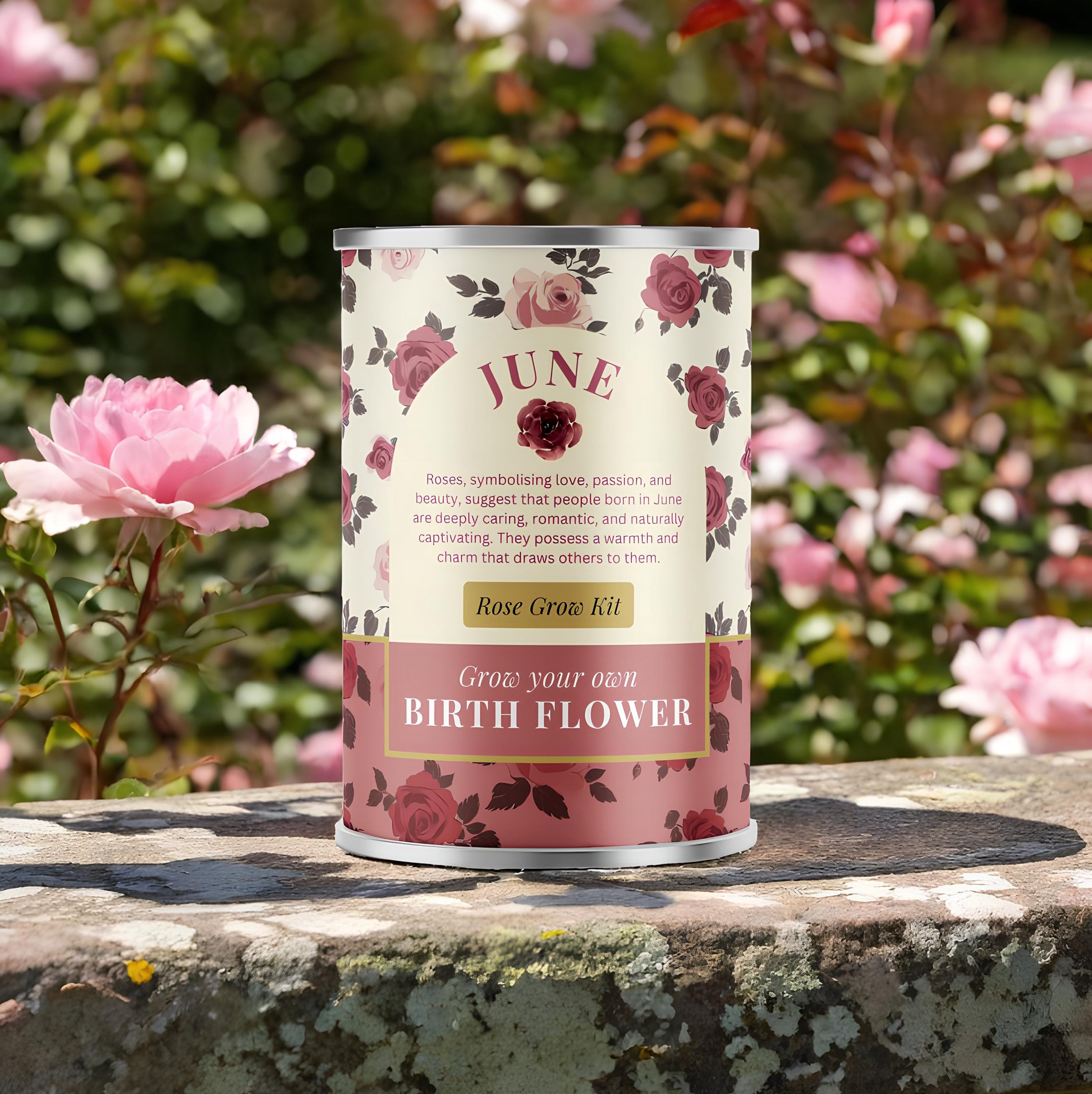 June Birth Flower - Personalised Grow Your Own Flower Gift Secondary image