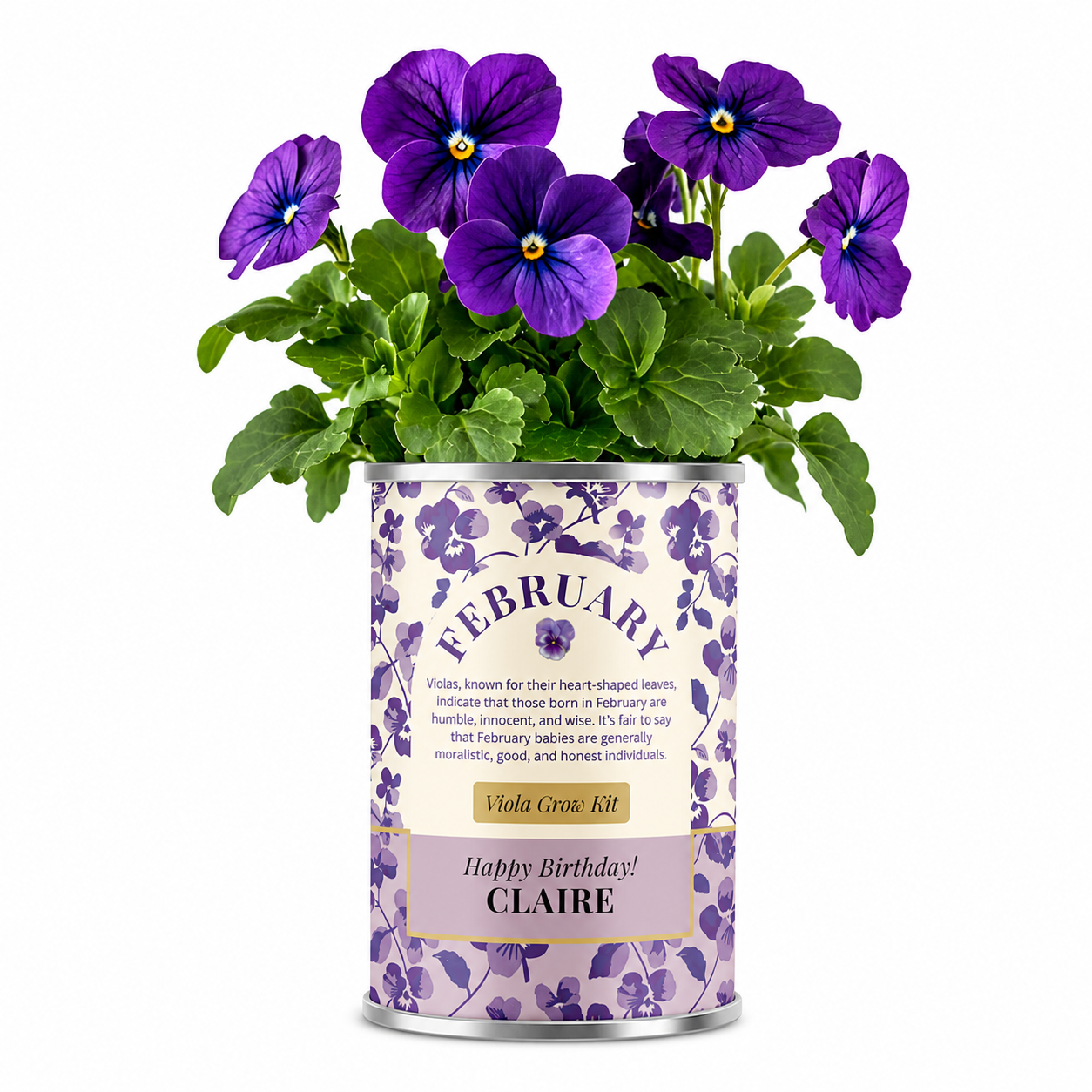 February Birth Flower - Personalised Grow Your Own Flower Gift Main image