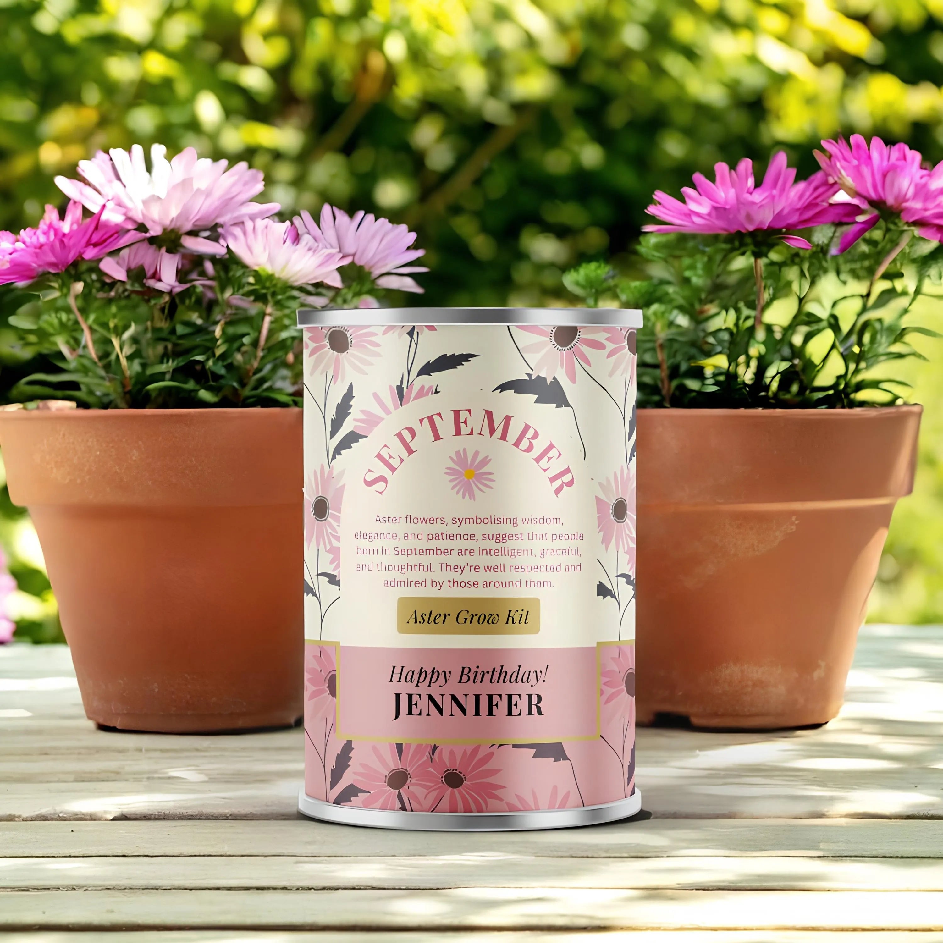 September Birth Flower - Personalised Grow Your Own Flower Gift Secondary image