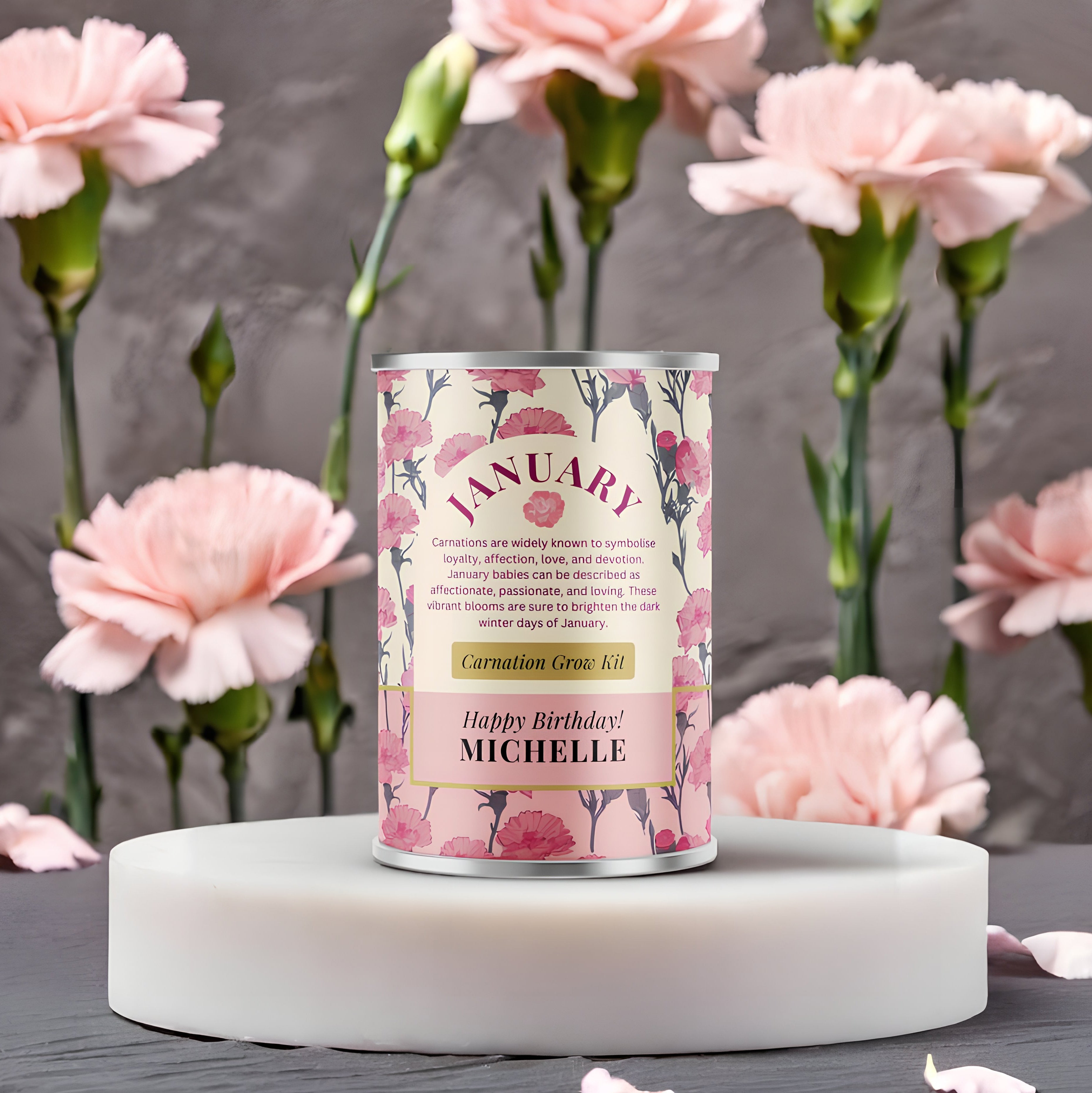 January Birth Flower - Personalised Grow Your Own Flower Gift Secondary image
