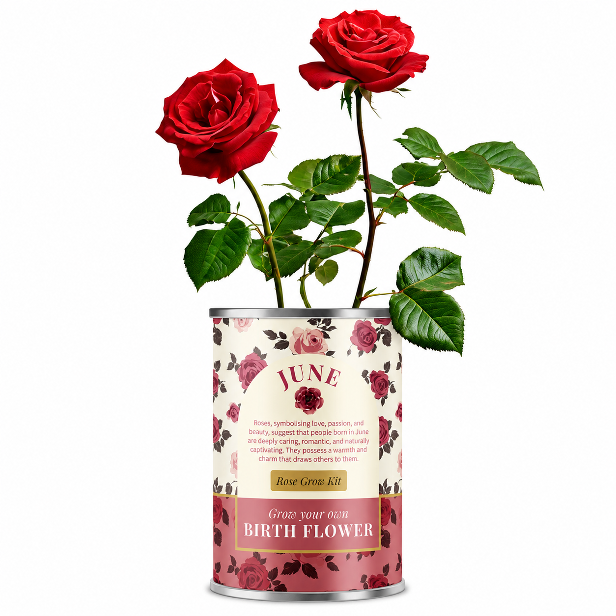 June Birth Flower - Personalised Grow Your Own Flower Gift