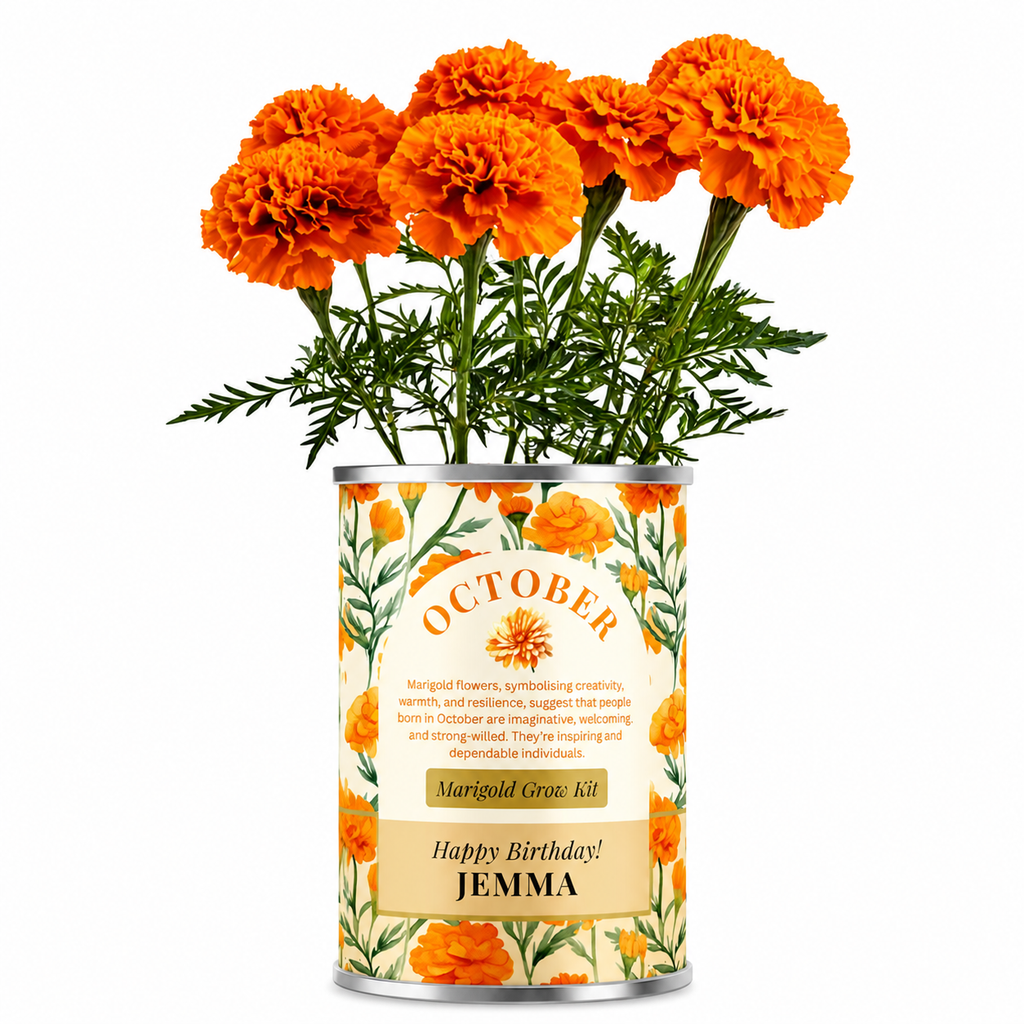 October Birth Flower - Personalised Grow Your Own Flower Gift