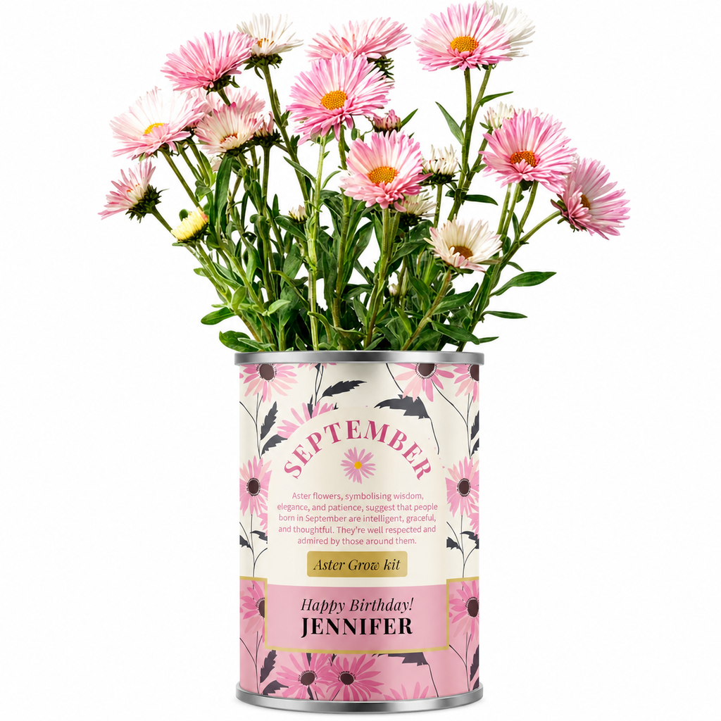 September Birth Flower - Personalised Grow Your Own Flower Gift